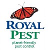 Royal Pest Solutions
